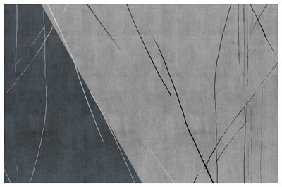 Linee astratte in grigio freddo da cartissi