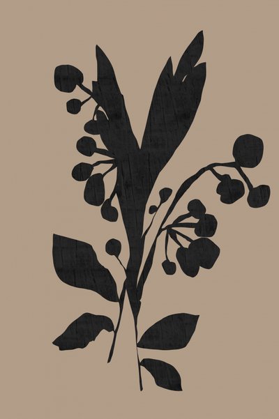Sagoma botanica scura da cartissi
