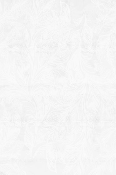 Delicati motivi ghiacciati da cartissi