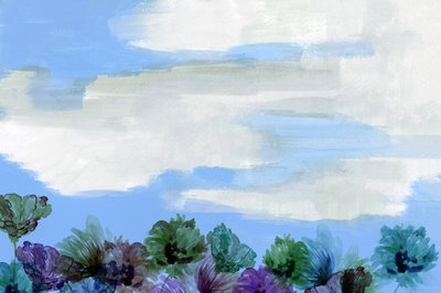 Cielo fiorito da sogno da cartissi