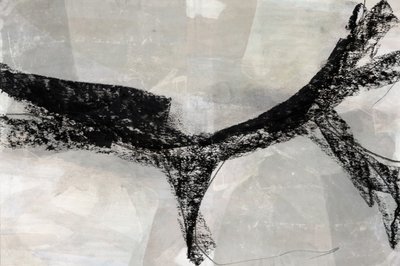 Forma astratta dinamica da cartissi
