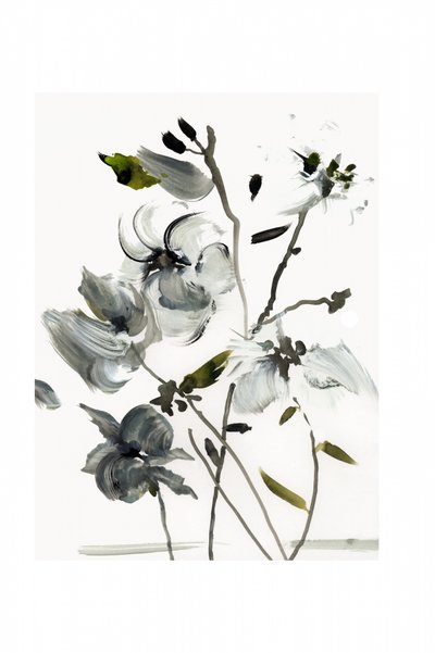 Fiori astratti eleganti da cartissi