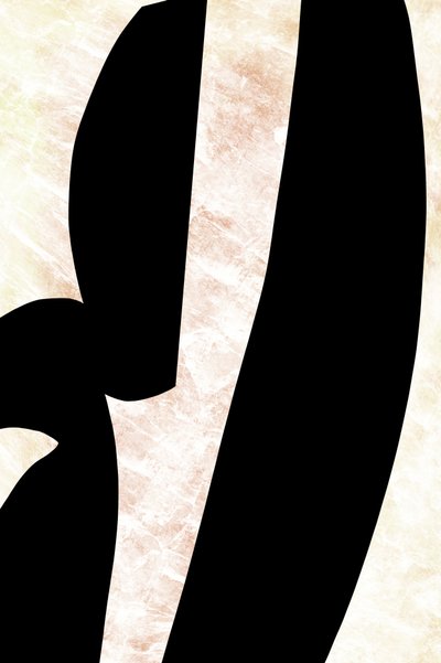Eleganti curve nere da cartissi