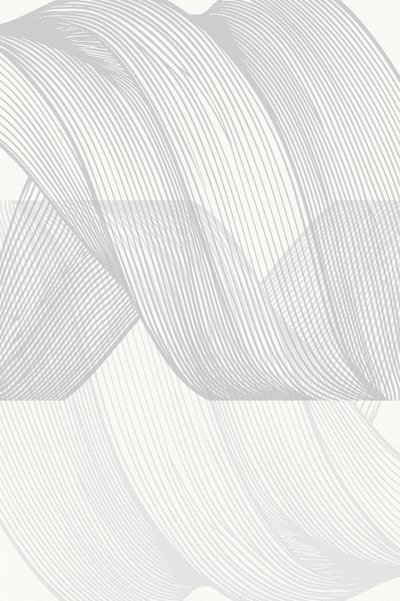 Linee eleganti e sinuose da cartissi