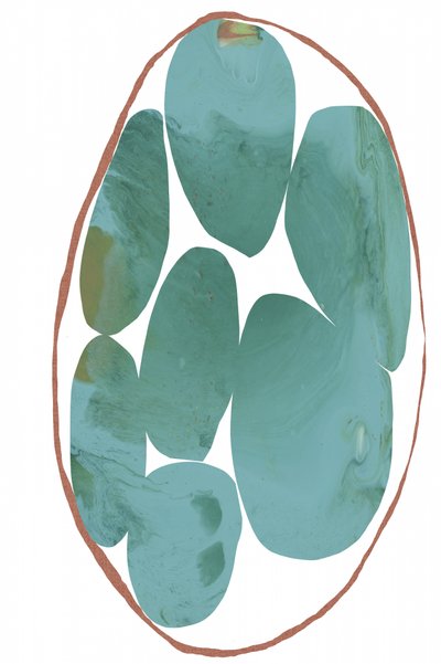 Forme organiche eteree da cartissi