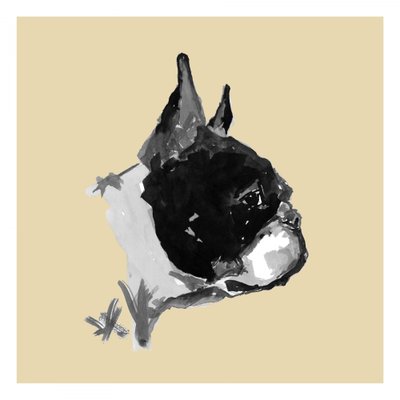 Ritratto espressivo di un Boston Terrier da cartissi