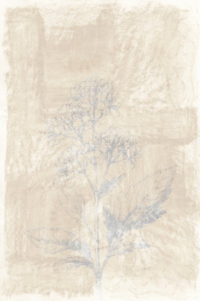 Schizzo botanico sbiadito da cartissi
