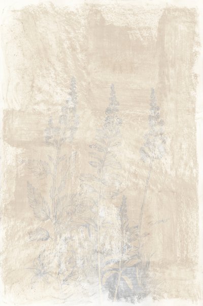 Schizzi botanici sbiaditi da cartissi