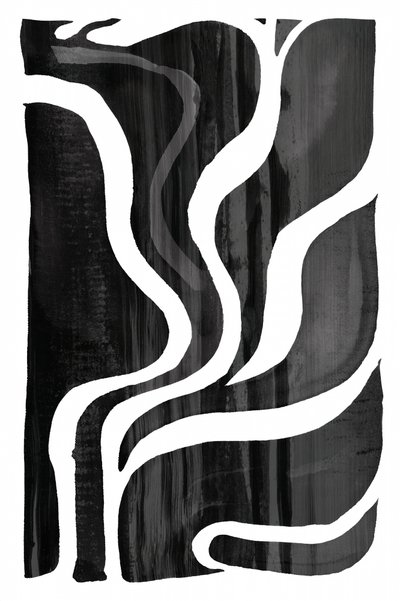 Linee fluide e organiche da cartissi
