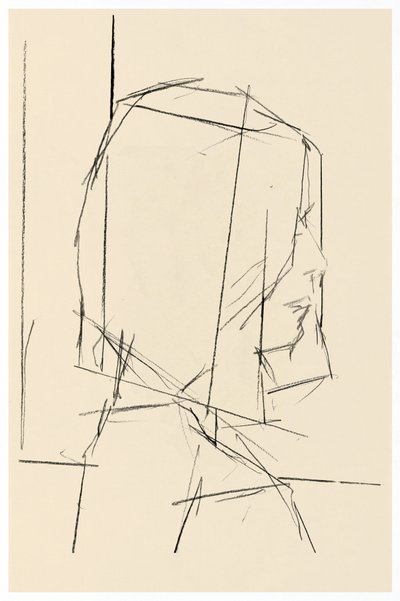 Studio dei profili geometrici da cartissi