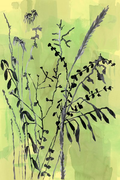Sagome botaniche verdi da cartissi