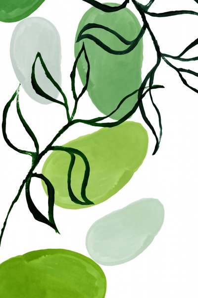Flusso verde biologico da cartissi