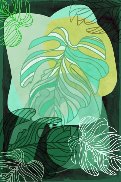 Monstera biologica da cartissi