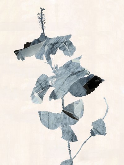 Astratto con fiori di ibisco da cartissi