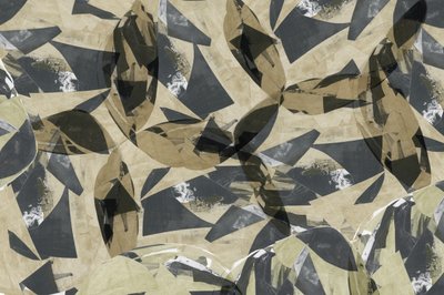 Foglie geometriche a strati da cartissi