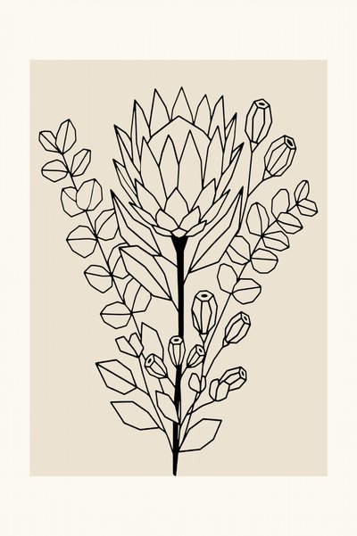 Protea ed eucalipto in stile minimalista da cartissi