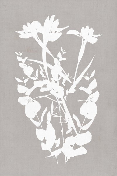 Silhouette botaniche moderne da cartissi