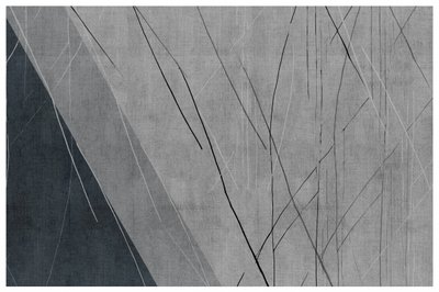 Design lineare moderno nei toni del grigio da cartissi