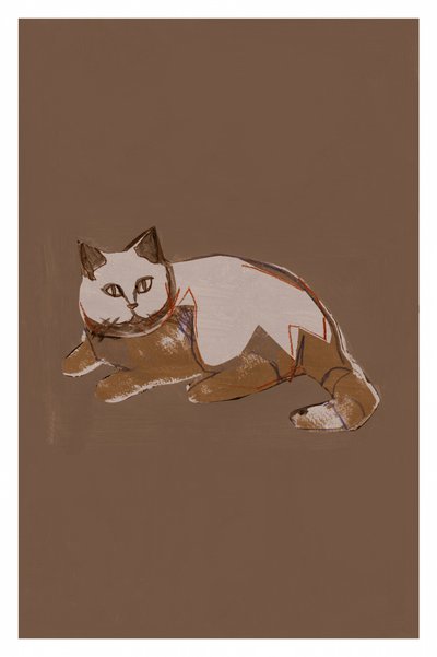 Gatto in stile moderno da cartissi