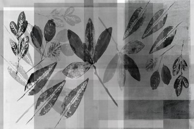 Strati botanici monocromatici da cartissi