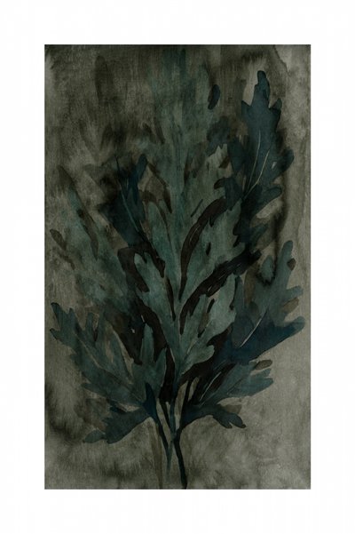Foglie botaniche di Moody da cartissi