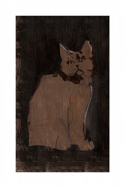 Ritratto di un gatto malinconico da cartissi