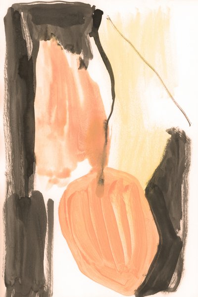 Forme organiche tenui da cartissi