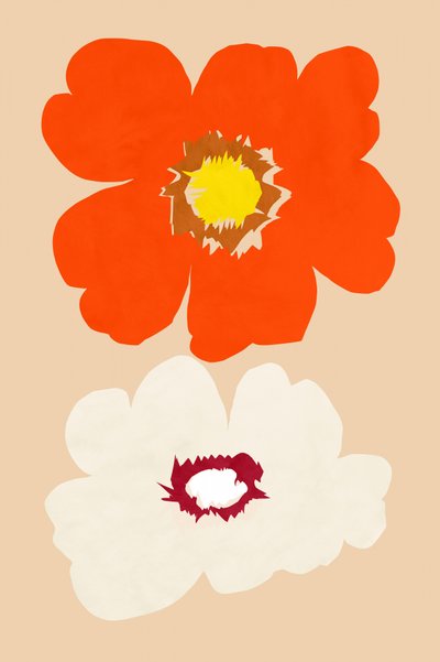 Fiori arancioni e bianchi da cartissi