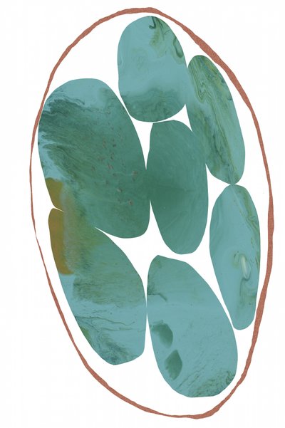 Gems biologiche color verde acqua da cartissi