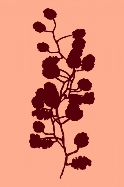 Silhouette botanica di pesca da cartissi