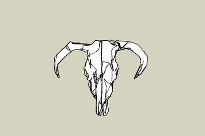 Teschio di toro in stile rustico da cartissi