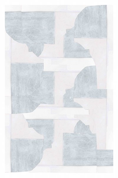 Forme astratte morbide da cartissi