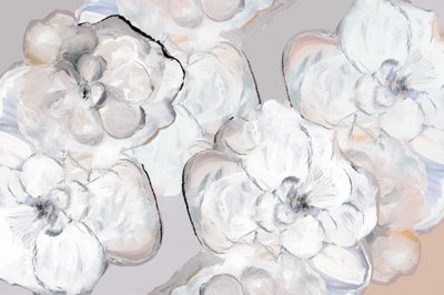 Morbidi fiori bianchi da cartissi