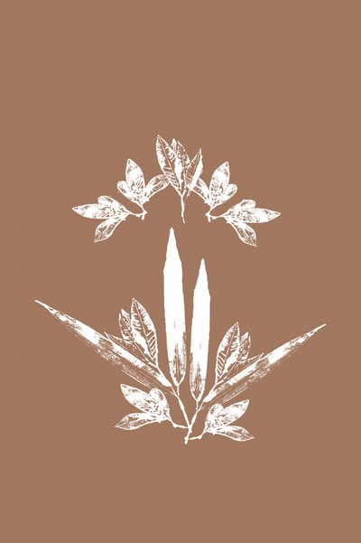 Foglie botaniche stilizzate da cartissi