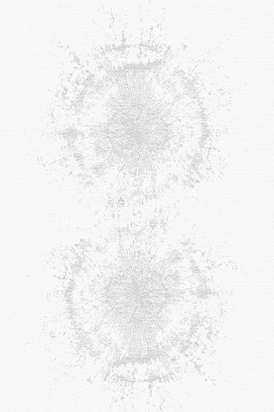 Delicate sfumature di grigio da cartissi