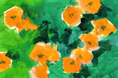 Fiori d