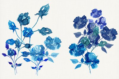 Fiori blu ad acquerello da cartissi
