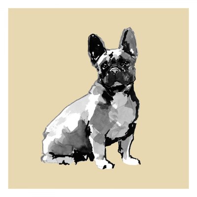 Bulldog francese ad acquerello da cartissi