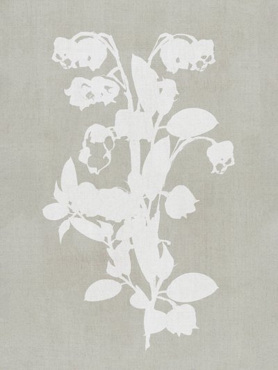 Fiori bianchi in stile botanico da cartissi