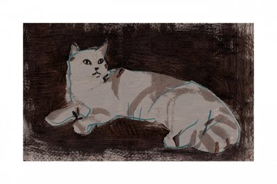 Gatto bianco che riposa da cartissi