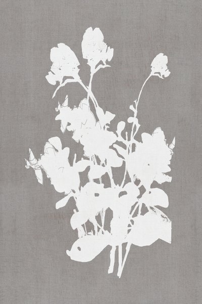 Sagoma floreale bianca da cartissi