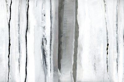 Astrazione della Foresta Bianca da cartissi