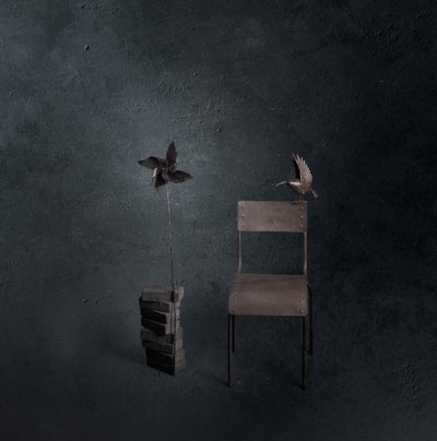 Uccello oscuro, sedia vuota da chenyi wang