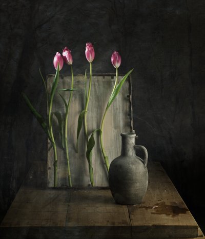  da chenyi wang
