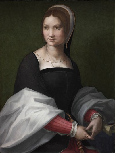 Ritratto di una donna da circle of Andrea del Sarto