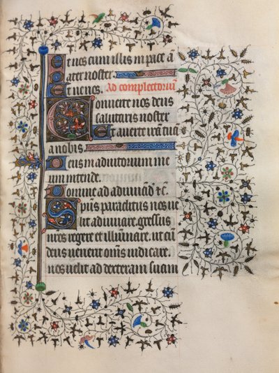 Libro d
