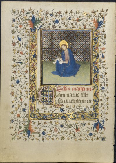 Foglio da un Libro d