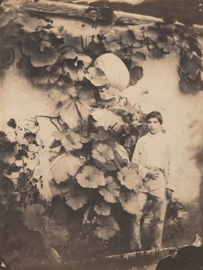 Ragazzo con una vite di zucca, 1854 (foto) da freres Varin