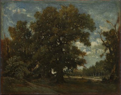 La quercia da imitator of Théodore Rousseau