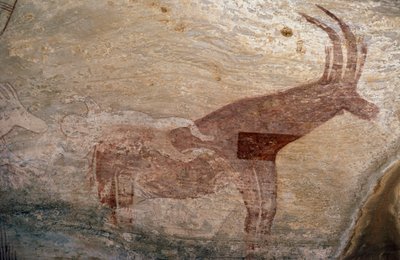 Animale ungulato, pittura rupestre, Sephar, Tassili n